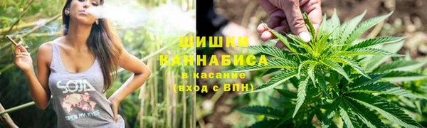 спайс Арсеньев